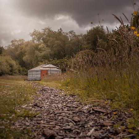 Gilfach Gower Farm Luxury Yurt With Hot Tub Hotel Ammanford Exterior photo